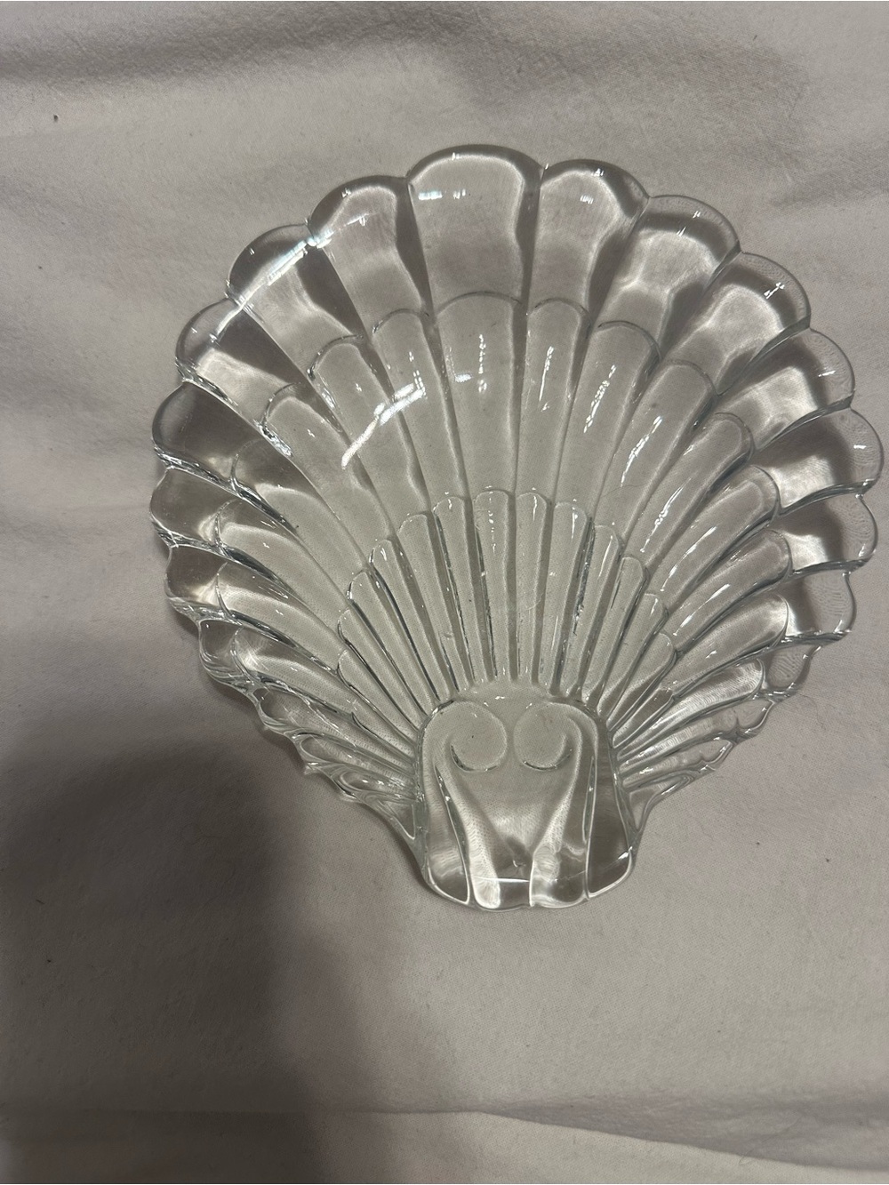 Clear Glass Shell Trinket Dish